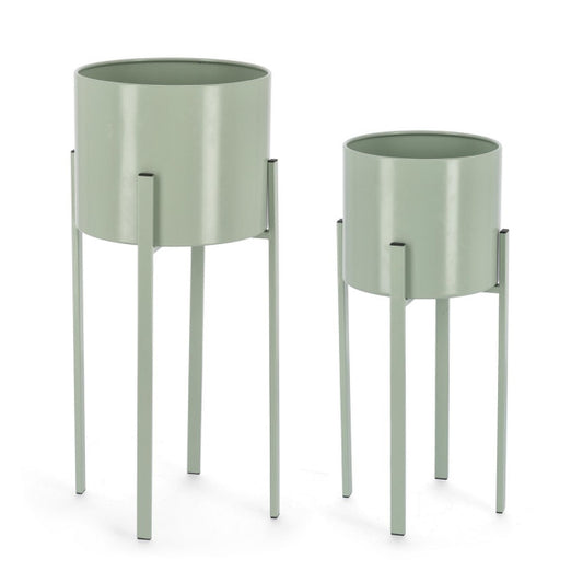 SET2 P.FIORE ESTER TO VERDE SALVIA