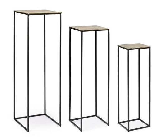 SET3 P.PIANTA AMIRA