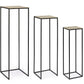 SET3 P.PIANTA AMIRA