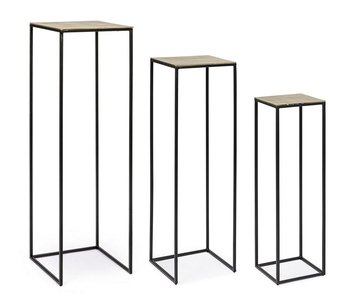 SET3 P.PIANTA AMIRA